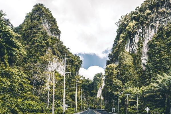 属猪的婚姻和什么属相最配 属猪婚配最佳属相