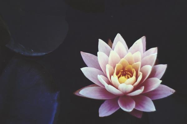 属龙宝宝最佳出生时辰揭秘，哪个时段最吉利？