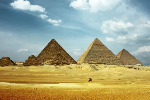 属猪人2024年遇龙年  属猪在龙年运气好吗