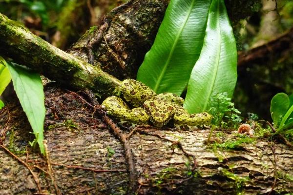 牛马婚姻不好怎么化解 沟通和妥协