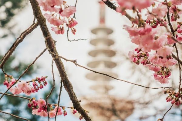 60岁本命年的大忌属龙，属龙人60岁本命年需要注意什么