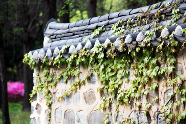 属兔2024年穿什么颜色旺财运，属兔的幸运颜色是什么