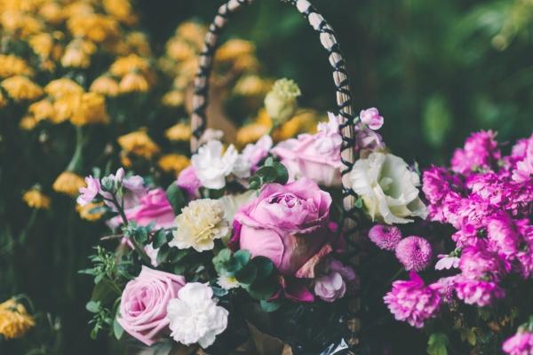 属牛女2024年全年运势 2024年属牛人的全年运势女性