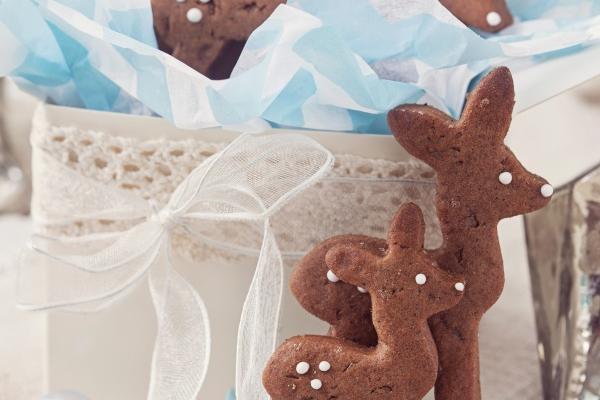 属马2024年运势如何 2024年运势生肖马运势详解