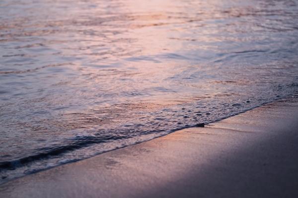 仙指阁运势 2024年6月27日十二生肖运势解析