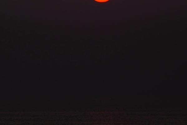 脾气大却无能的生肖女,这样的她让人失望