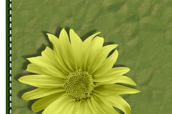 生肖虎和龙相冲吗 事业上互帮互助