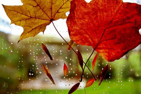 让人不敢惹的生肖女，强势气场无人能敌