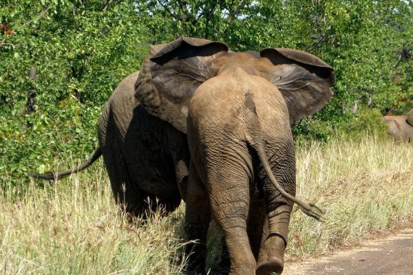 8月正财运最好的生肖2024年 生肖蛇智慧经营财富增长