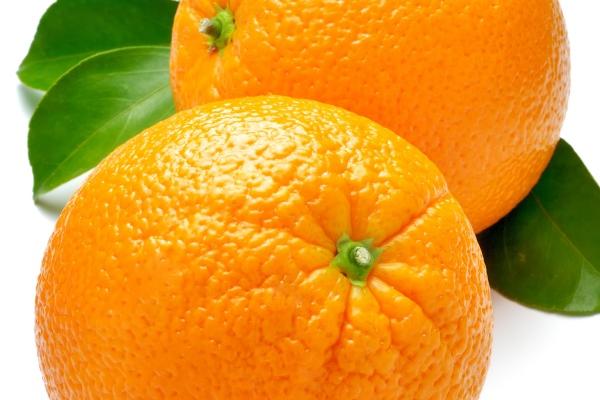 寿命最长的生肖是哪个？长寿秘诀在这里