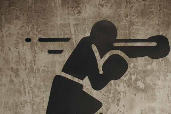 仙指阁运势 2024年8月18日十二生肖运势解析