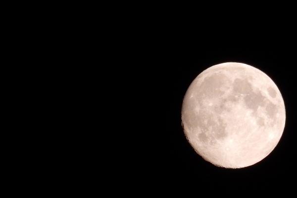 仙指阁运势 2024年8月19日十二生肖运势解析