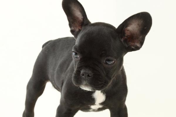 闹闹女巫 2024年8月23日十二星座今日运势