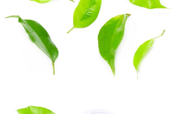 狂月天时 每日12星座运势2024.8.24