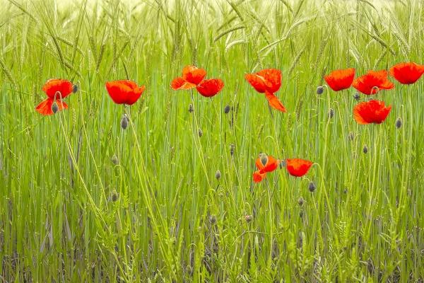 静电鱼 双子座星运详解【周运2024年9月9日-9月15日】