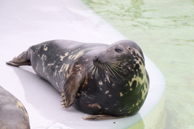 仙指阁运势 每日12星座运势2024.9.12