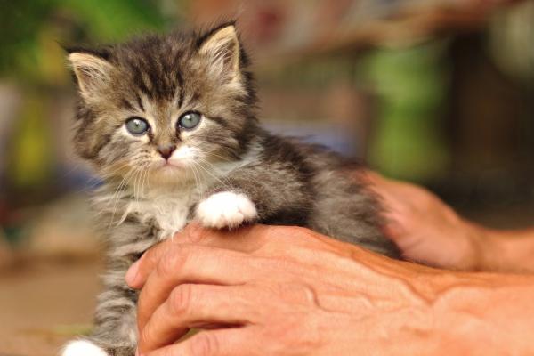 仙指阁运势 今日星座运势查询2024.9.11