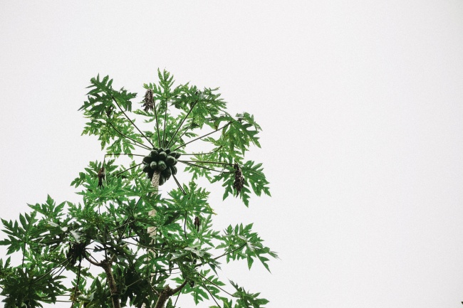 仙指阁运势 2024年9月11日十二星座运势解析