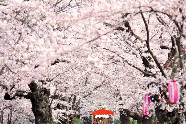 仙指阁运势 2024年9月19日十二星座运势解析