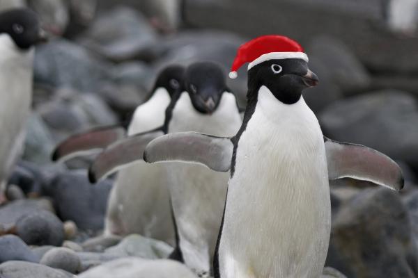 苏珊米勒 今日星座运势查询2024.9.20