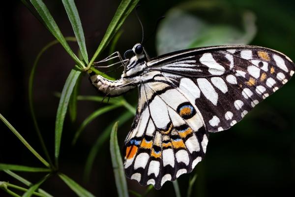 闹闹女巫 2024年9月20日十二星座今日运势