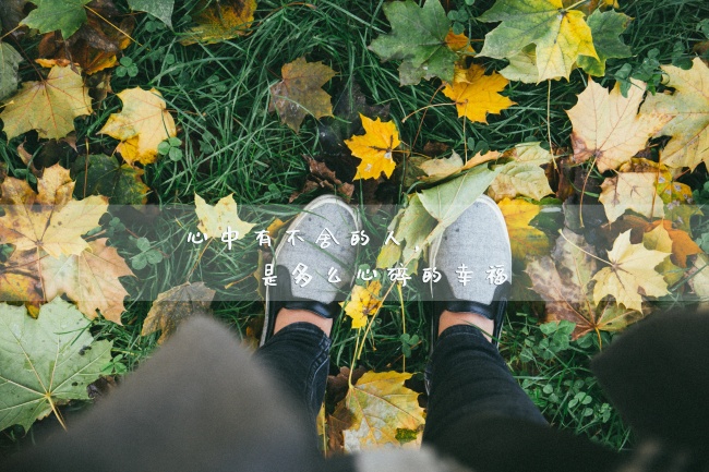 2024年星座运势最好的是谁 哪些星座事业最旺