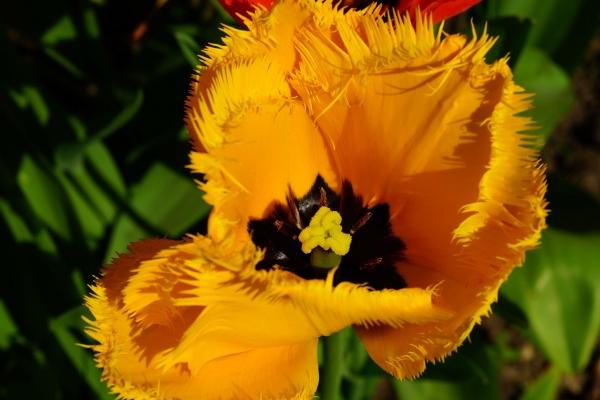 仙指阁运势 2024年9月22日十二星座今日运势