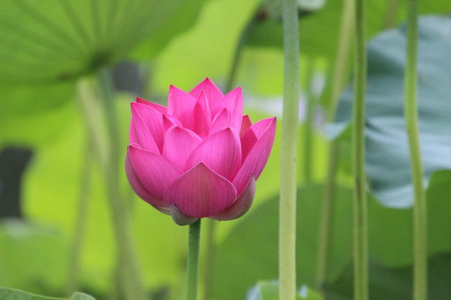 仙指阁运势 每日12星座运势2024.9.25