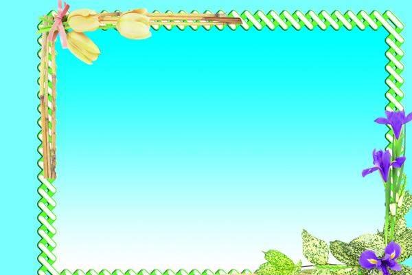 仙指阁运势 2024年9月27日十二星座今日运势