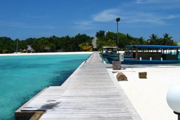 2024必成大器的星座 处女谨慎必成大器