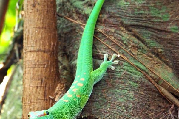 仙指阁运势 2024年9月30日十二星座今日运势