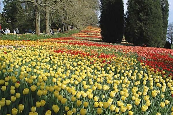 小乖麻 本周运势提醒2024/9/30-10/7