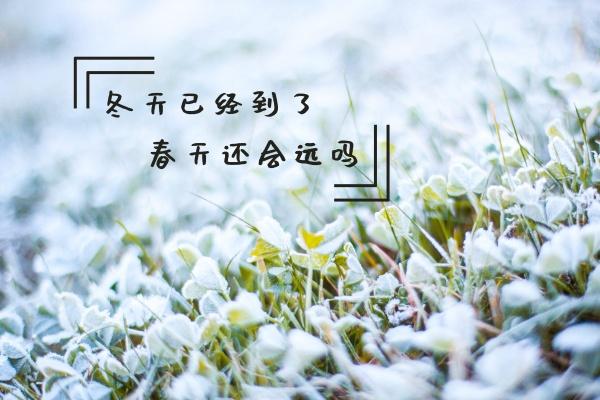 磅礴大气的企业名字 不重名企业名称