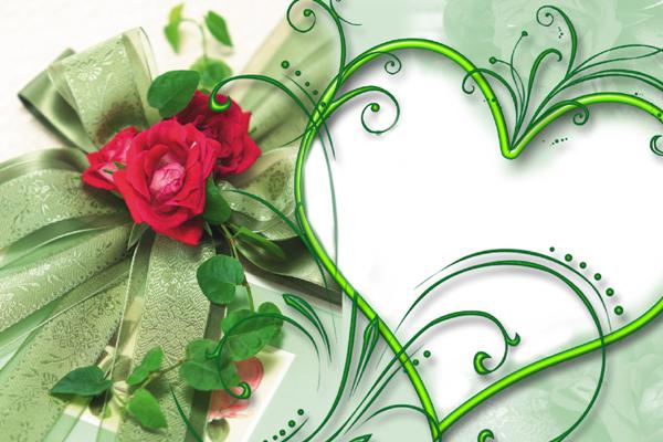 苏珊米勒 12星座本周运势详解2024.10.14-10.20