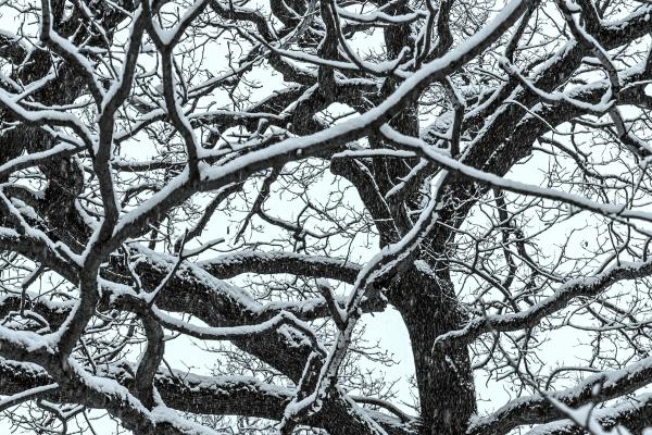 闹闹女巫 12星座本周运势详解2024.10.14-10.20