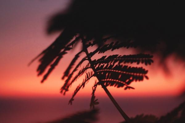 仙指阁运势 2024年10月22日十二星座今日运势