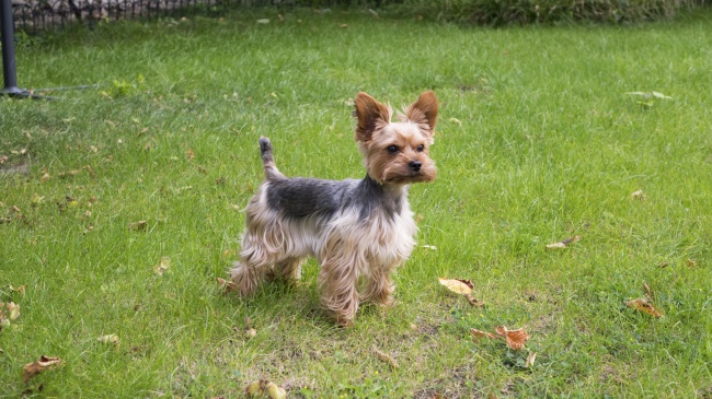 仙指阁运势 每日12星座运势2024.10.24