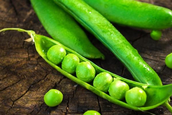 属虎人2025年8月运势