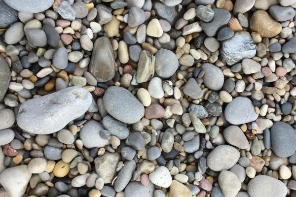 属兔人2025年4月运势