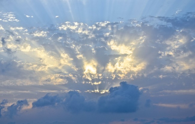 属蛇人2025年7月运势