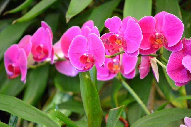 2025年3月12日十二生肖运势每日播报