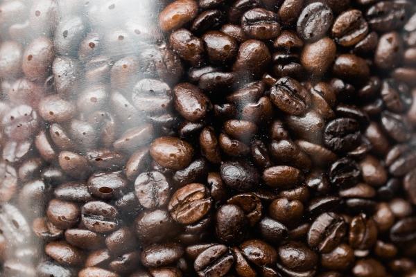 2025年属什么生肖