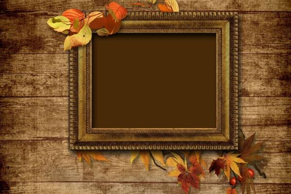 属猪人2025年9月运势