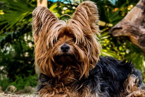 属马人2025年7月运势