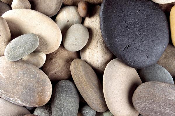 2025年1月25日十二生肖运势每日播报