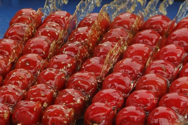 蛇猴马这三个属相在一起好吗