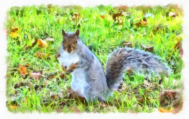 属鸡人2025年官运如何