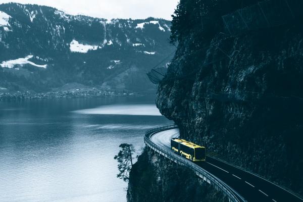 属虎人2025年每月运势