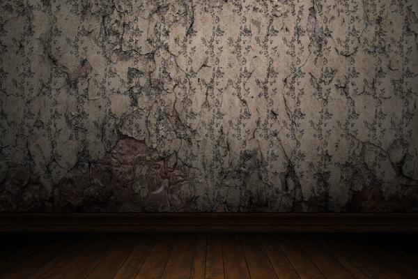 2025年1月6日十二生肖运势每日播报