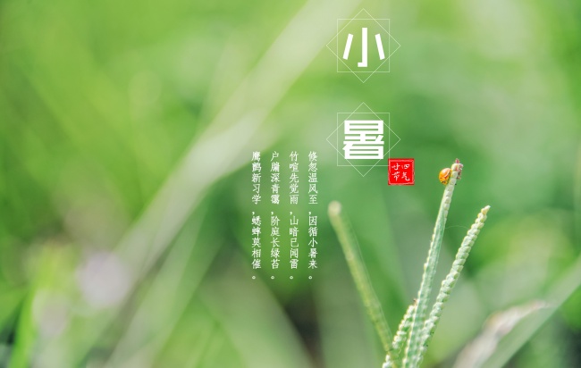 属龙人2025年事业运如何